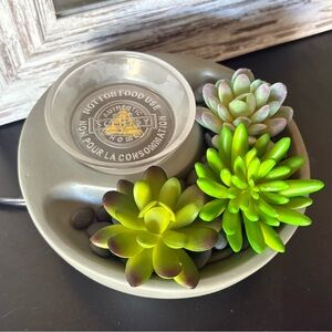 Succulent & Stone Wax Warmer